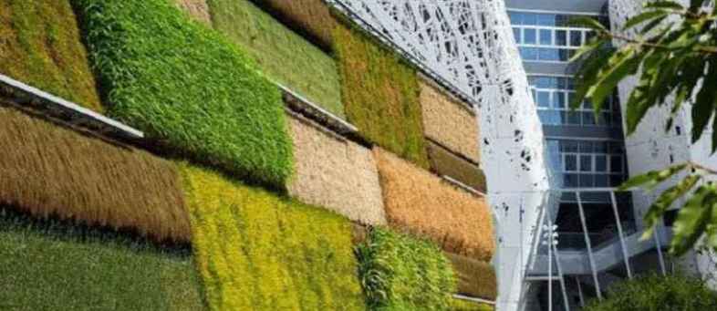 In this country, vegetables are grown on the walls, along with paddy and wheat.jpg In this country, vegetables are grown on the walls, along with paddy and wheat.jpg