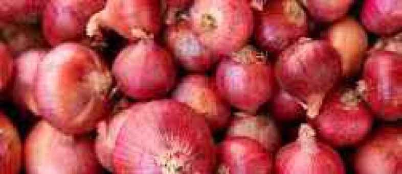 onion.jpg onion.jpg