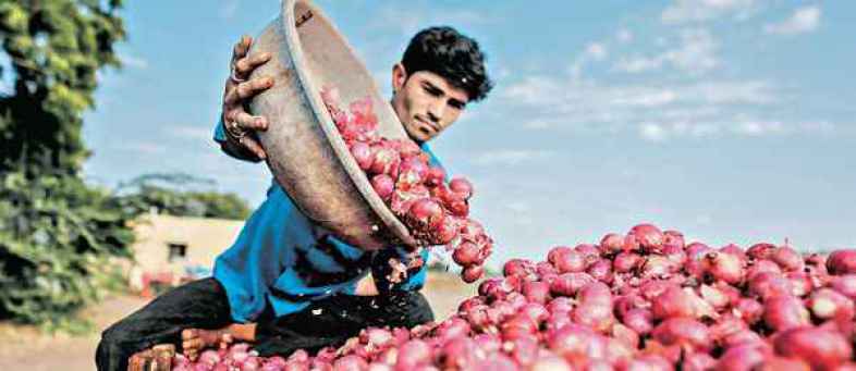 Government has 12,000 tonne onion imported so far Paswan.jpg Government has 12,000 tonne onion imported so far Paswan.jpg