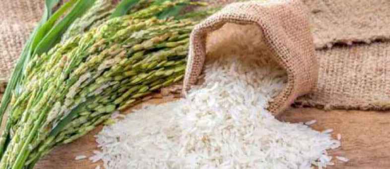 india-rice-export-1530355033-1568428150.jpg india-rice-export-1530355033-1568428150.jpg