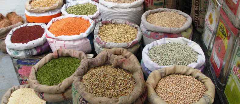Pulses below the MSP due to huge stocks, price down 8-10% in two weeks.jpg Pulses below the MSP due to huge stocks, price down 8-10% in two weeks.jpg