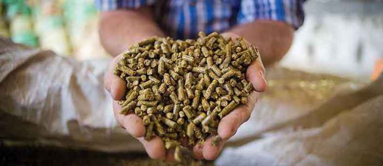 Oilmeals exports Fall 55% to 105,085 tonnes in October SEA.jpg Oilmeals exports Fall 55% to 105,085 tonnes in October SEA.jpg