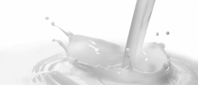 milk.jpg milk.jpg