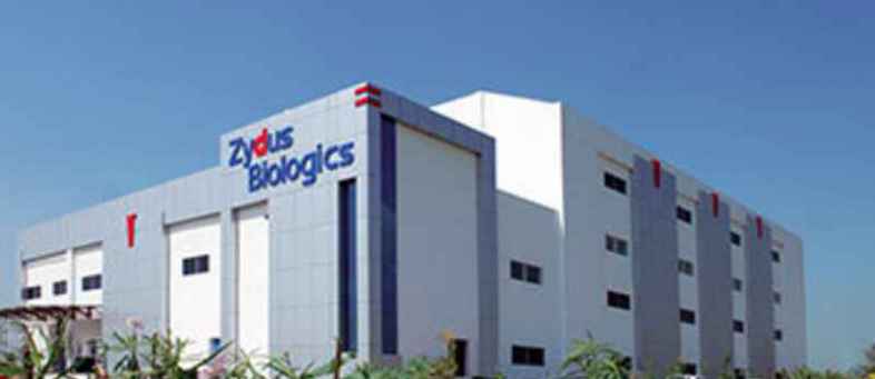 Zydus Cadila launches the program to find the Corona virus drug.jpg Zydus Cadila launches the program to find the Corona virus drug.jpg