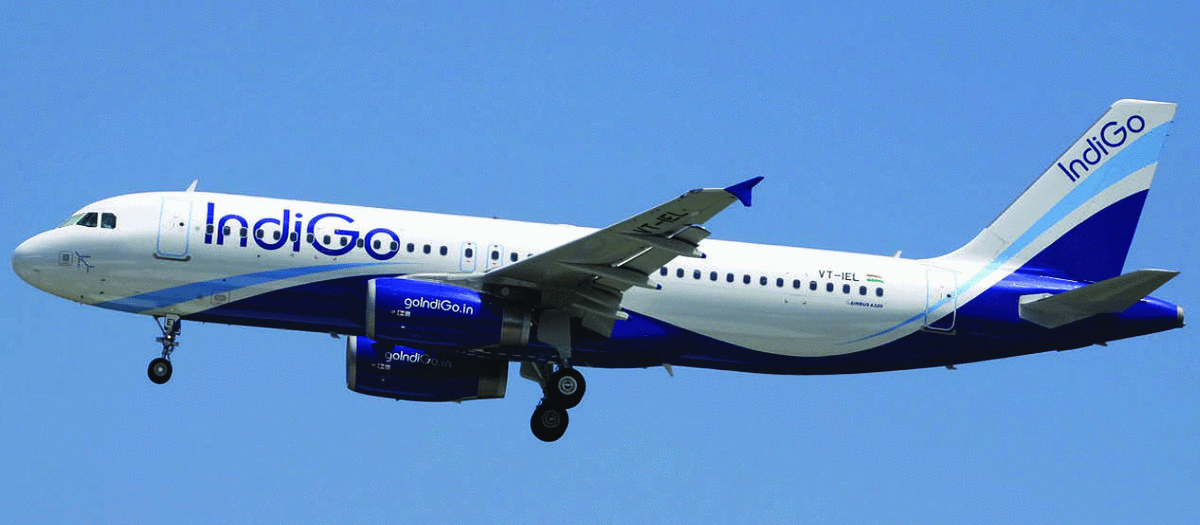 New 150 planes will be added for domestic tourists.gif New 150 planes will be added for domestic tourists.gif