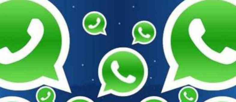 Two whatsapp groups in Vadodara permanently banned, find out why.jpg Two whatsapp groups in Vadodara permanently banned, find out why.jpg