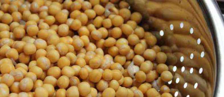 Govt Fixed to minimum import price of yellow pea of Rs 200 per kg.jpg Govt Fixed to minimum import price of yellow pea of Rs 200 per kg.jpg