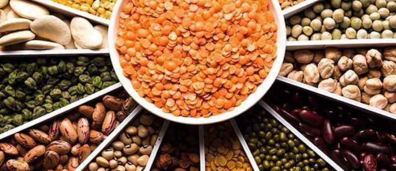 Retail inflation in Pulses likely to stay under 5% in next 6 month of FY22 Ind-Ra.jpg Retail inflation in Pulses likely to stay under 5% in next 6 month of FY22 Ind-Ra.jpg