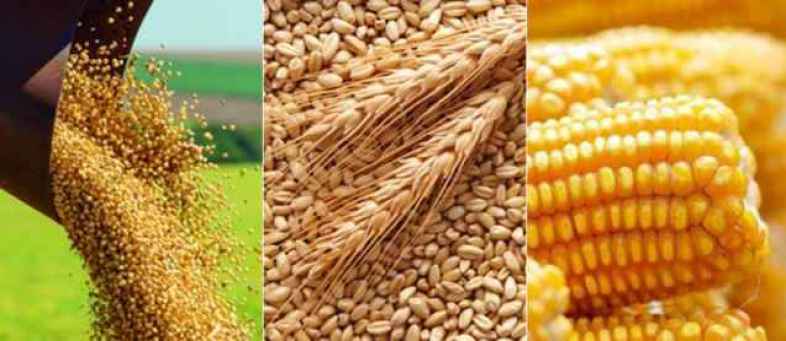 Farmers are still deprived of getting high prices for agricultural products.jpg Farmers are still deprived of getting high prices for agricultural products.jpg