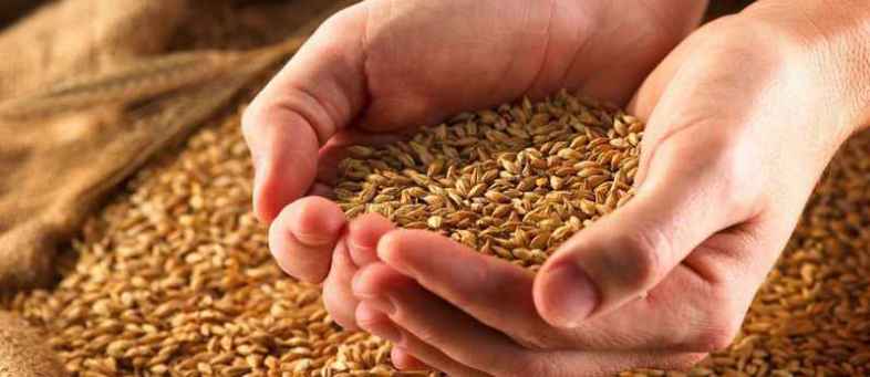 Wheat Ruble Ratios Consider Wheat Trading as a Personal Composite Instrument.jpg Wheat Ruble Ratios Consider Wheat Trading as a Personal Composite Instrument.jpg