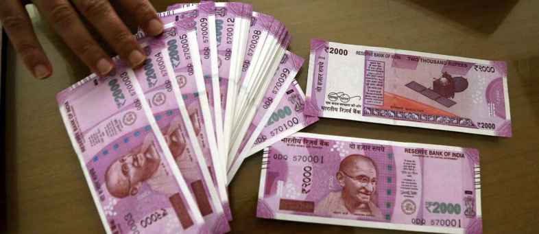 Start Shatavari Crop Farming By Investing Rs 50,000 And Earn Up To Rs 6 Lakh (1).jpg Start Shatavari Crop Farming By Investing Rs 50,000 And Earn Up To Rs 6 Lakh (1).jpg