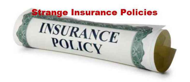 Weird Insurance Policy List.jpg Weird Insurance Policy List.jpg