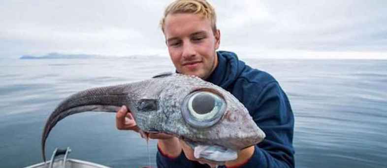 Fisherman Catches a ‘Dinosaur’ Fish Straight out of Steven Spielberg's Movies.jpg Fisherman Catches a ‘Dinosaur’ Fish Straight out of Steven Spielberg's Movies.jpg