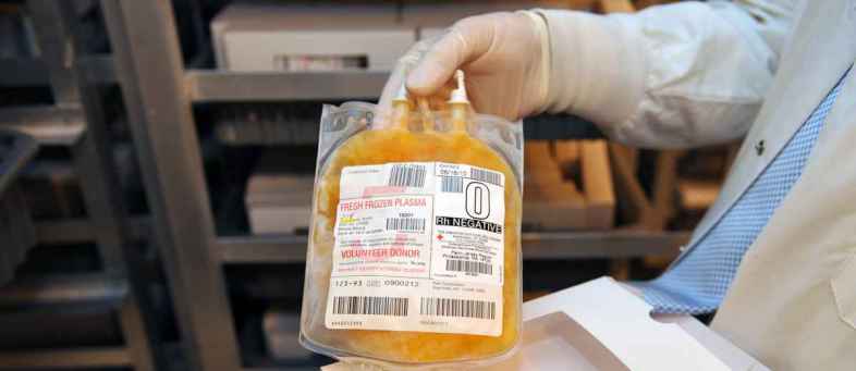 Plasma bank made but donor less, know which patient can become a donor.jpg Plasma bank made but donor less, know which patient can become a donor.jpg