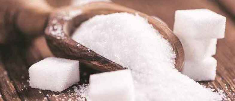 Sugar 191216 Image.jpg Sugar 191216 Image.jpg