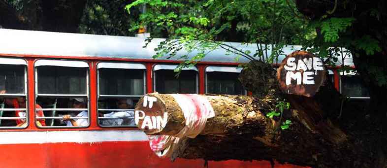 Maharashtra govt to review bullet train project CM Thackeray.jpg Maharashtra govt to review bullet train project CM Thackeray.jpg