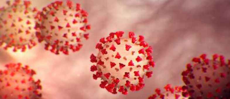 Another name for fear is the corona virus can live for hours in the air.jpg Another name for fear is the corona virus can live for hours in the air.jpg