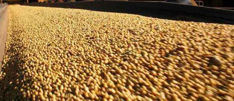 In the short term there is no boom in the soybean complex.jpg In the short term there is no boom in the soybean complex.jpg