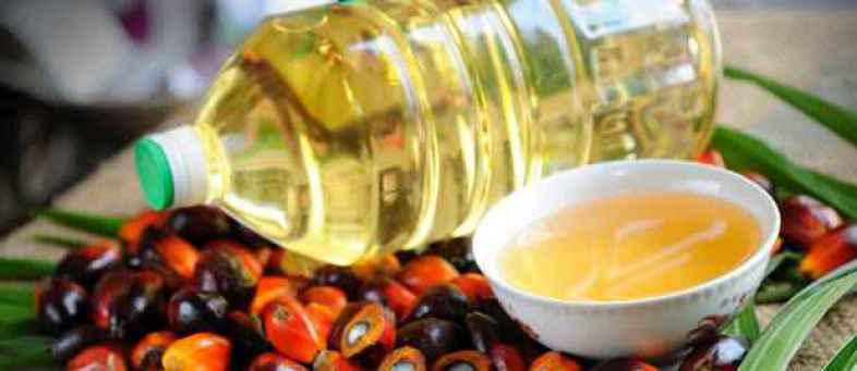 Indian Govt bans import of palm oil from Malaysia.jpg Indian Govt bans import of palm oil from Malaysia.jpg