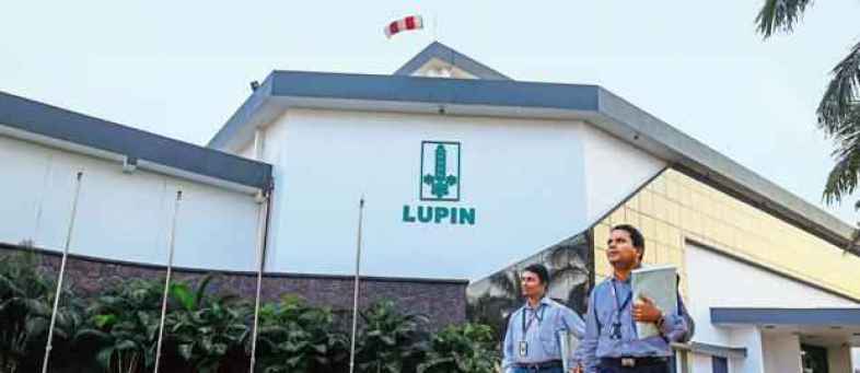 Lupin.jpg Lupin.jpg