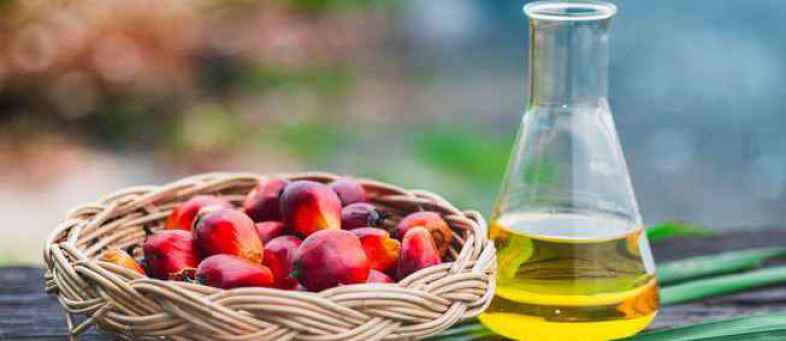 Palm Oil Prices Rise By 5 Percent In two Days after import restricts.jpg Palm Oil Prices Rise By 5 Percent In two Days after import restricts.jpg