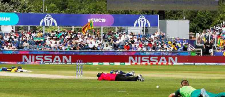 Sri Lanka vs South Africa Bee attack halts play as players, umpires hit the deck.jpg Sri Lanka vs South Africa Bee attack halts play as players, umpires hit the deck.jpg