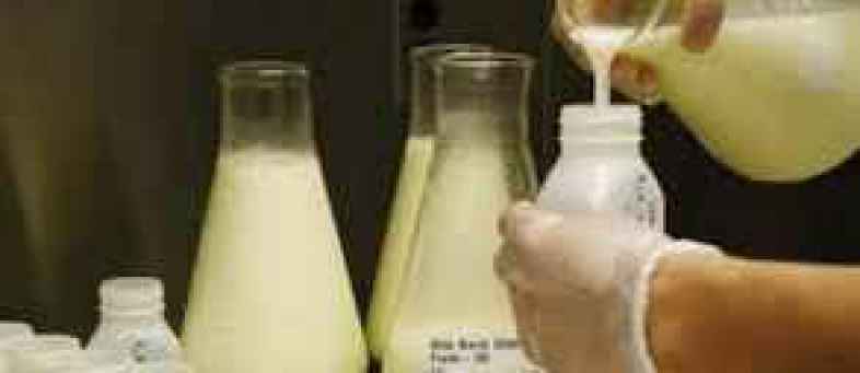 Milk.jpg Milk.jpg