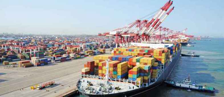 DOC exports drop 78%, Low price in world market.jpg DOC exports drop 78%, Low price in world market.jpg
