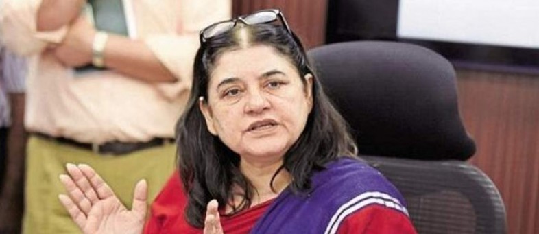 Maneka.jpg Maneka.jpg